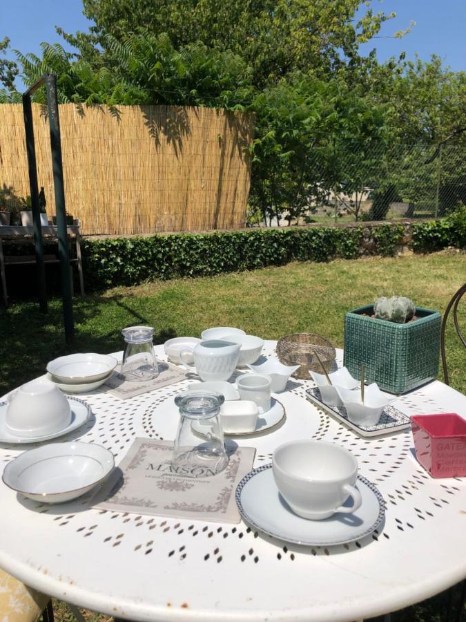 Le Vieux Chai Souzay-Champigny Luaran gambar